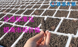 大家都用重量分揀機分選海參了！您還在用人工分選嗎？