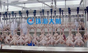 重量分揀設(shè)備如何實(shí)現(xiàn)整雞分選？