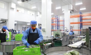 蔬菜配重機：解決人工成本與效率問題，助力蔬菜加工發(fā)展